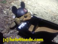 /home//u458753944/public_html/sourcegallery//Roxborough Toad Detour/2026/2026-04-13/P4131619.JPG